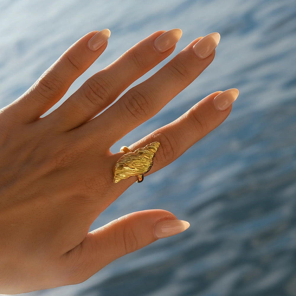 Anillo Eco de la Costa