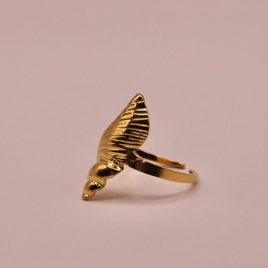 Anillo Eco de la Costa