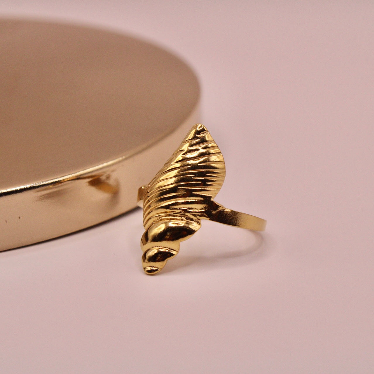 Anillo Eco de la Costa