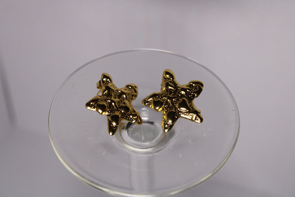 Aretes Estrella de Mar