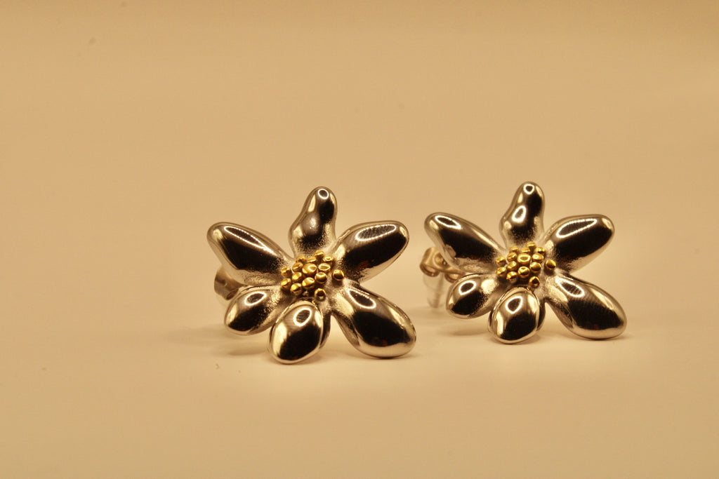 Aretes Pétalo Costero