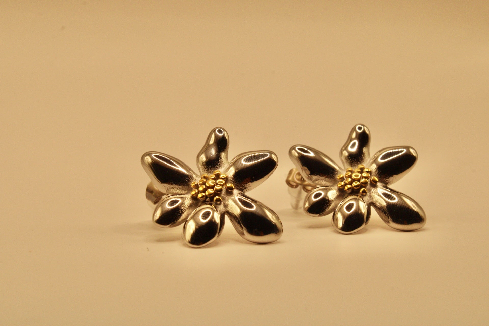 Aretes Pétalo Costero