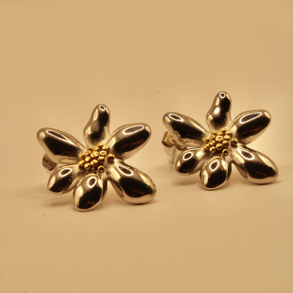 Aretes Pétalo Costero