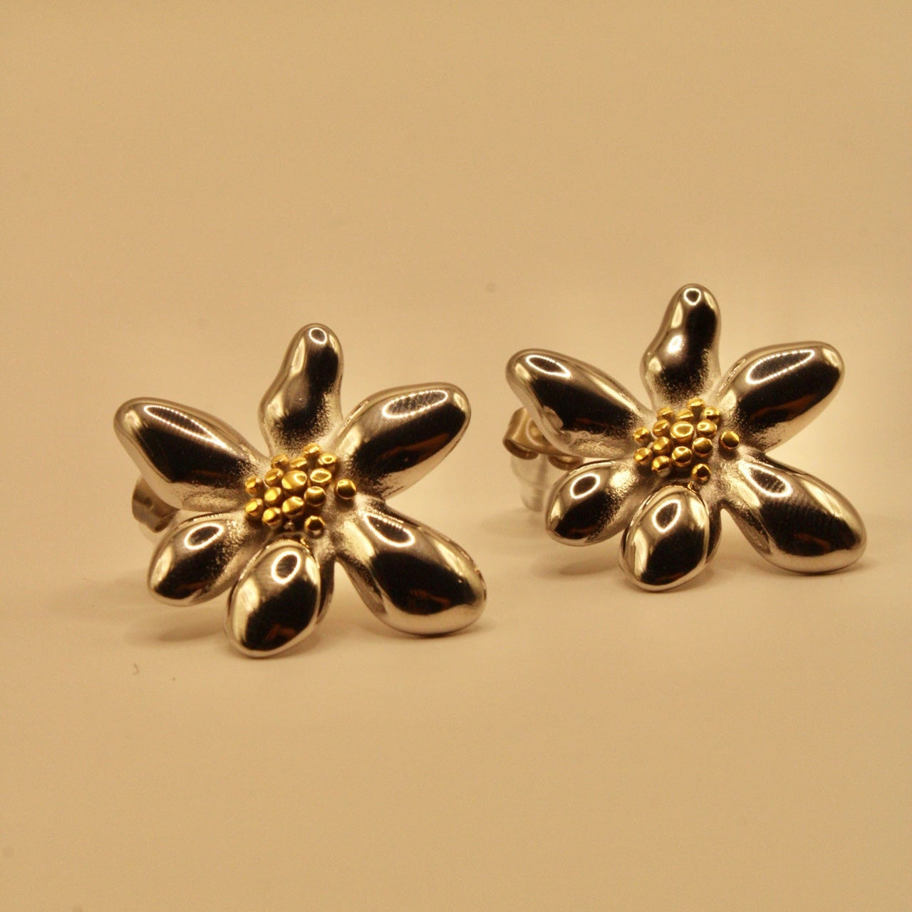 Aretes Pétalo Costero