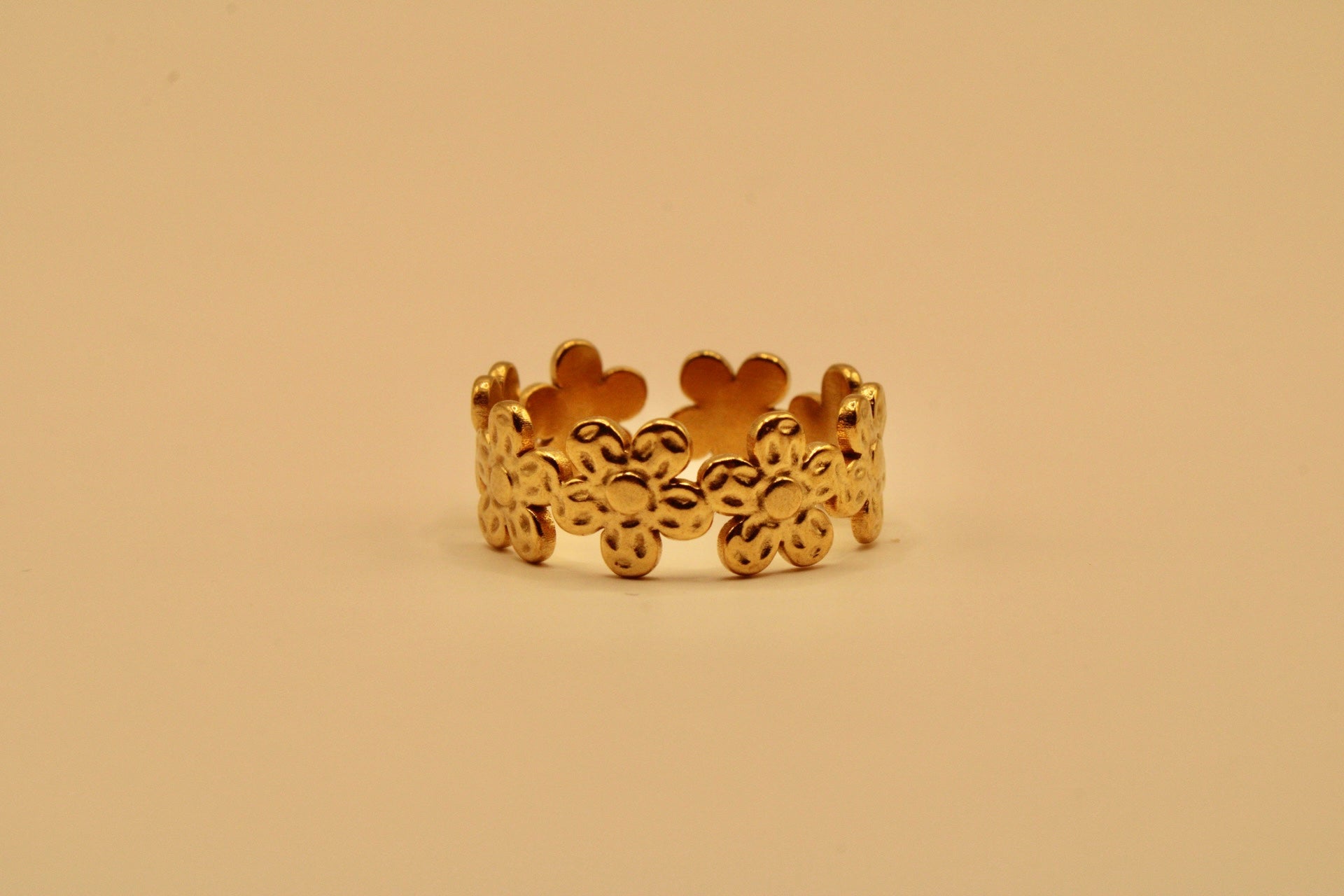 Anillo Florecita del Malecón